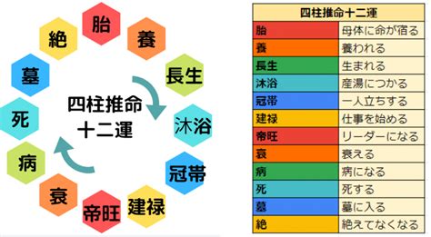 丁巳大運|【四柱推命】丁巳 (ひのとみ)の性格や特徴は？2024。